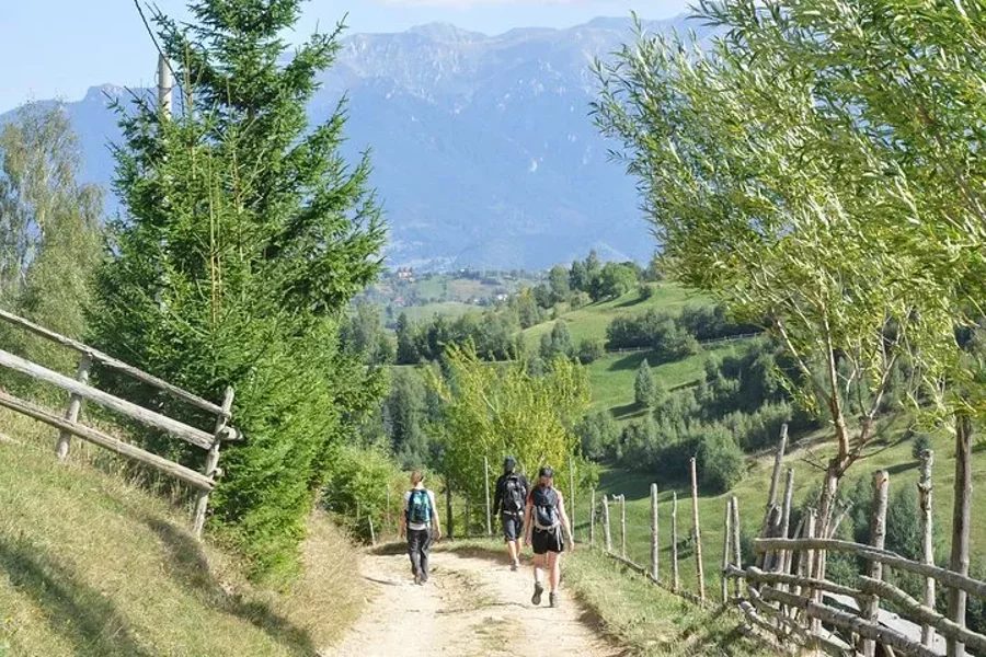 Small-Group Day Trip in Romanian Authentic Mountain Villages from Brasov