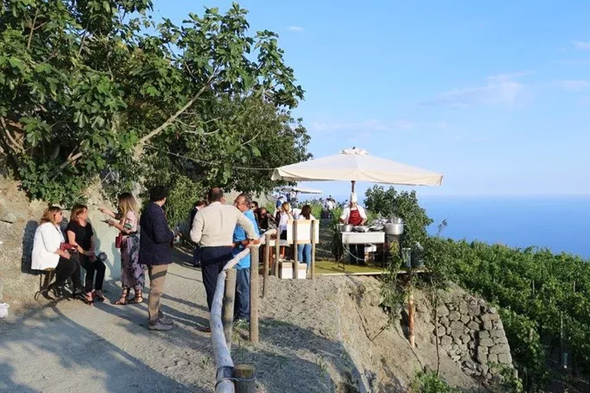 Ischia : Dégustation de vins 3 heures, vignobles & transfert inclus