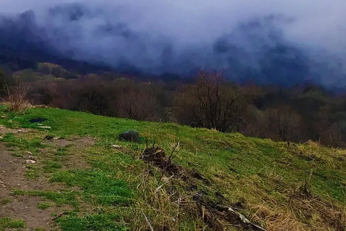 Telavi entdecken: Tsinandali, Alaverdi & Gombori Tour