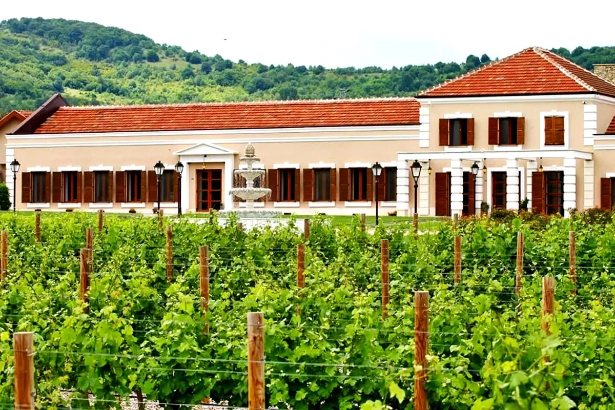 Dégustation de vins et activités au Domaine Midalidare