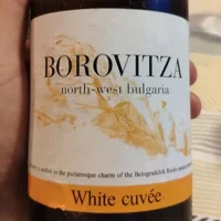Vidin & Belogradchik Exquisite Wine Tasting