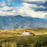Wine Tasting & More in Villa Melnik – One of the World’s Best Wineries