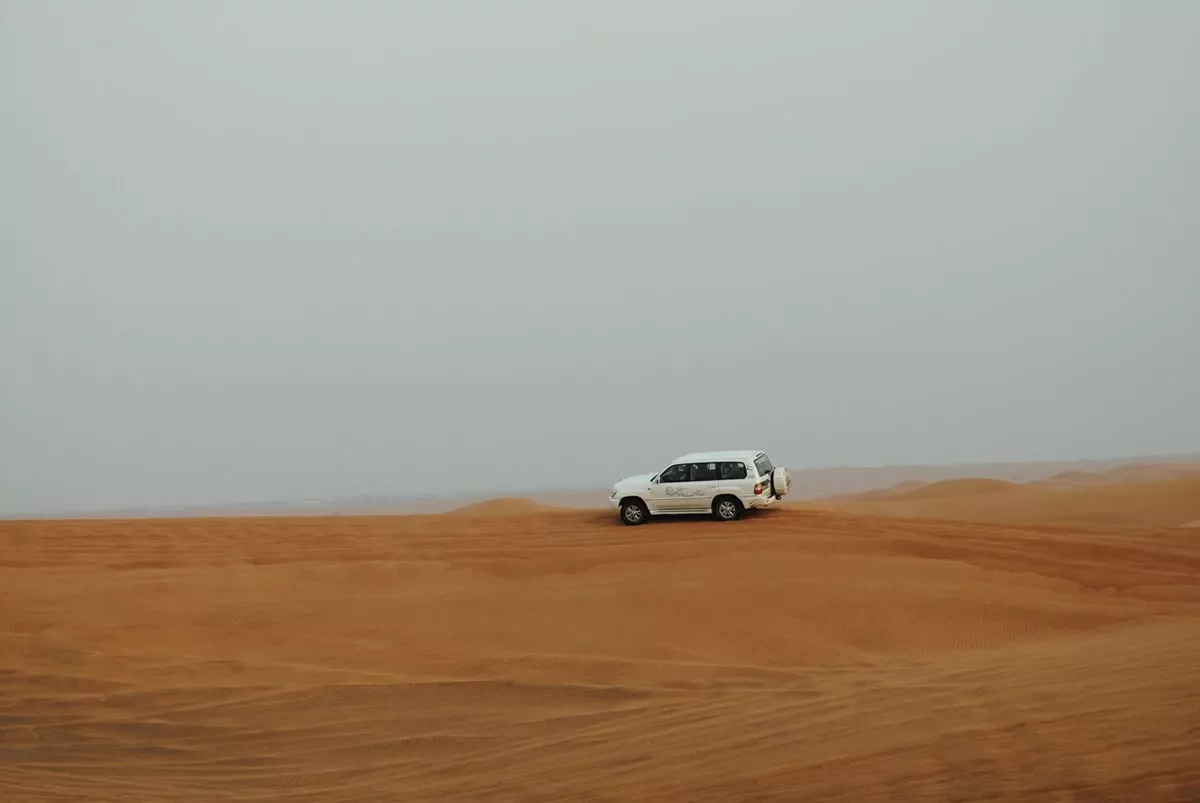 Safari por el desierto de Judea desde Tel Aviv