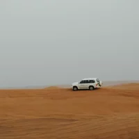 Judean Desert Safari from Jerusalem